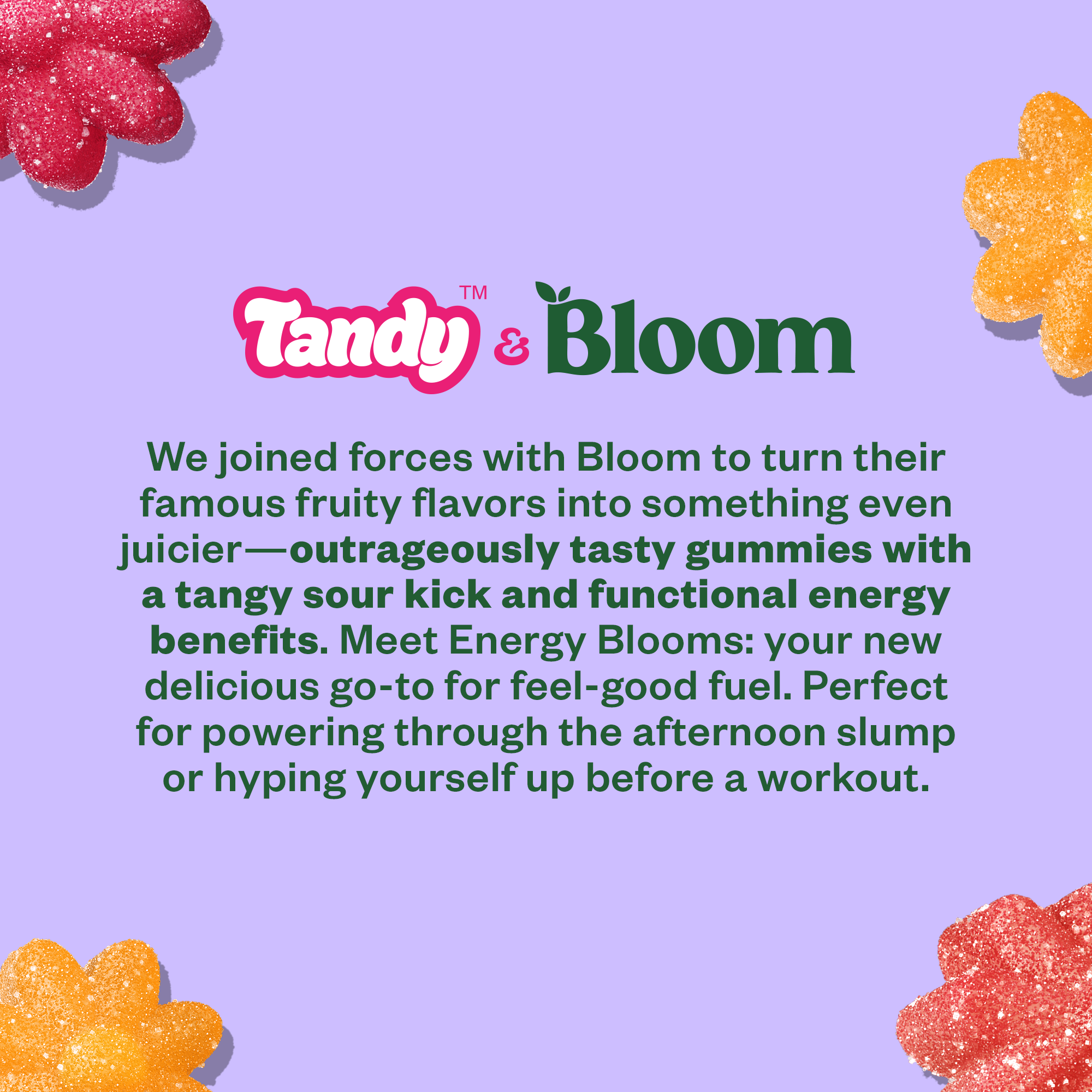 Bloom x Tandy Energy Blooms